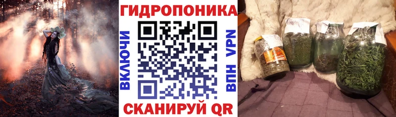 Канабис планчик  цена наркотик  МЕГА ТОР  Кукмор 